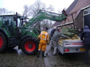 21-02-2015 Stier transport vanaf Oudega