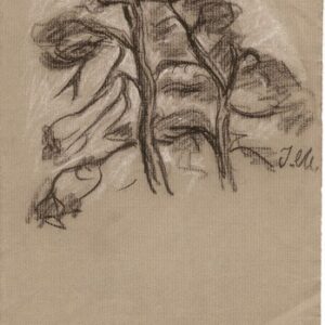 A-027 – Bomen zwart en wit krijt 285×166