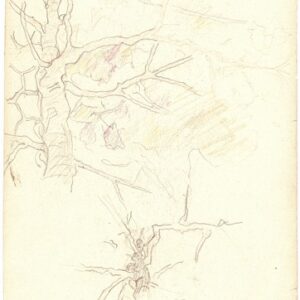 A-045 – Kleur potlood 283×169