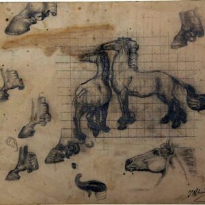 C-032 – 1948 paardenstudie