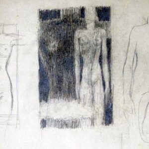 C-071 – Naaktstudies