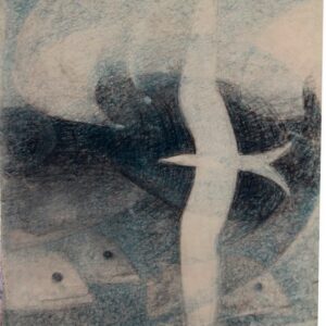 C-078 – Vogel vissen  blauwzwart krijt 27×561 mm