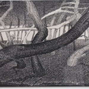 D-022 – 1955 Arme Bossen Wens voor 1956 (1)