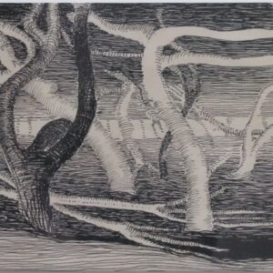 D-023 – 1955 Arme Bossen Wens voor 1956 (2)