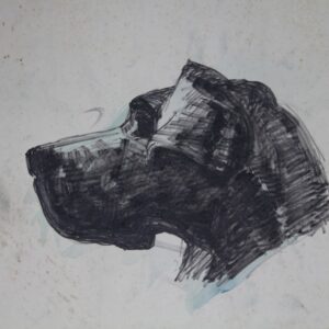 D-029 – 1955 Mijn vrouw en haar hond