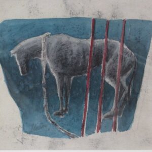 D-103 – Paard gebonden