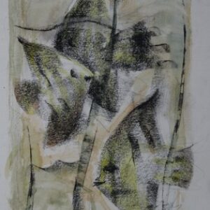 E-010 – 1965 Vissen