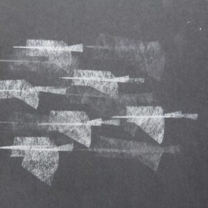 E-036 – Vogels (1)