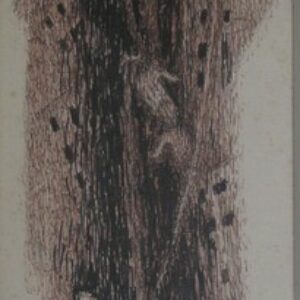 G-002 – 1986 geleend aan beheerder 2009