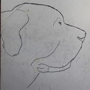 G-022 – Hondenkop, Sigurd wellicht