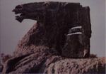 Foto: Adelheid Hasselman (kunstkaart)